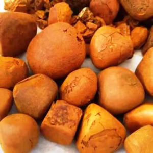 Ox Gallstone