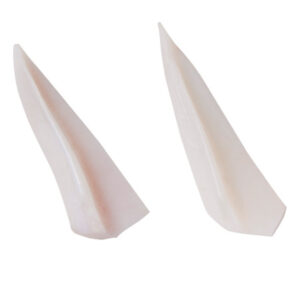 CHICKEN BREAST CARTILAGE