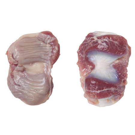 FROZEN CHICKEN GIZZARDS