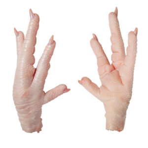 GRADE A FROZEN CHICKEN PAWS